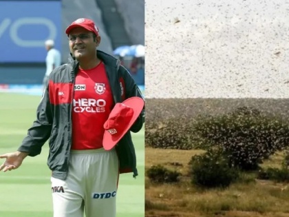 Former cricketer Virender Sehwag shared the video of locust attack over his house | Video : वीरेंद्र सेहवागच्या घरावर टोळधाडींचा हल्ला; त्यांना पळवण्यासाठी लढवली शक्कल
