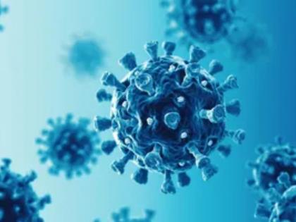 Mumbai: Dengue, gastro, viral fever patients increase | Mumbai: ऐन उत्सवात साथीच्या आजारांचे विघ्न; डेंग्यू, गॅस्ट्रो, व्हायरल फिव्हरचे रुग्ण वाढले! Mumbai: Dengue, gastro, viral fever patients increase | Mumbai: ऐन उत्सवात साथीच्या आजारांचे विघ्न; डेंग्यू, गॅस्ट्रो, व्हायरल फिव्हरचे रुग्ण वाढले!