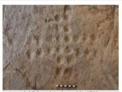 The game 'Brainvita' was played thousands of years ago; Remains found in Chandrapur district | हजारो वर्षांपूर्वीही खेळला जात होता 'ब्रेनव्हिटा' हा खेळ; चंद्रपूर जिल्ह्यात सापडले अवशेष