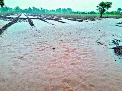 Damage to farming, loss of onion crops | वळवाचा शेतीला तडाखा, कांदापिकाचे नुकसान