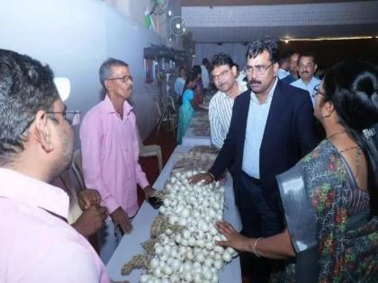 Collector Kishan Jawle will focus on increasing the area of cereal in the alibaug district | जिल्ह्यातील तृणधान्याचे क्षेत्र वाढविण्यावर भर देणार - जिल्हाधिकारी किशन जावळे