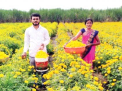 Income of Rs 1.5 lakh in two months from marigold farming | झेंडूच्या शेतीतून दोन महिन्यांत दीड लाख रुपयांचे उत्पन्न