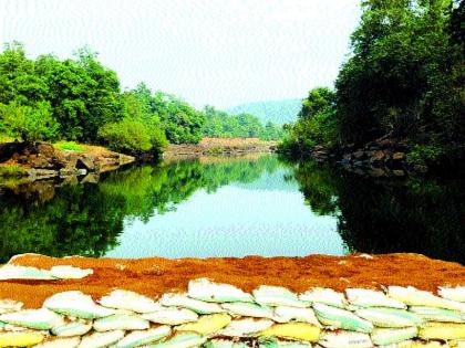 The largest forestry dam in the district on the Kalu river | काळू नदीवर जिल्ह्यातील सर्वात मोठा वनराई बंधारा