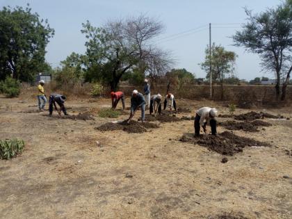 For the cultivation of trees Shirpur subdivision | वृक्ष लागवडीसाठी शिरपूर उपबाजारात लगबग