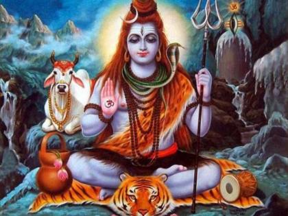 There is a special reason behind why gods, sages, monks use dead deer, tiger skin! | देव, ऋषिमुनी, साधू 'मृत' हरणाचे, वाघाचे कातडे का वापरत, त्यामागे होते विशेष कारण!