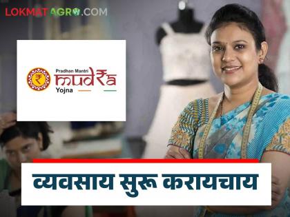 Low Cost Business Idea : सबसिडीतून 'हे' दोन व्यवसाय सुरु करा अन् चांगलं उत्पन्न मिळवा, वाचा सविस्तर 