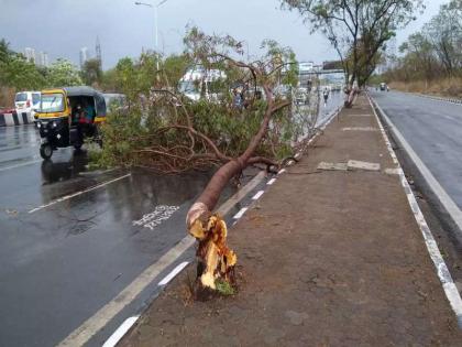 Plants fell on more than 150 places; Death of three people | १५० हून अधिक ठिकाणी झाडे कोसळली; तीन जणांचा मृत्यू