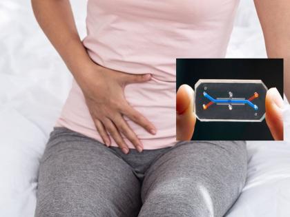 Vagina Chip: Special chip develops by researchers for women's private part to protect against infection