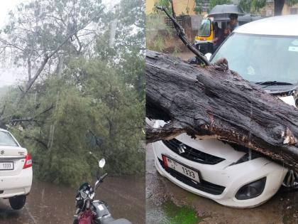 In Ulhasnagar, incessant rains, 4 trees and 1 wall fell, a car and two-wheeler damaged, a snake found | उल्हासनगरात संततधार पाऊस, ४ झाडे व १ भिंत पडली एक कार व दुचाकीचे नुकसान, एक साप मिळाला