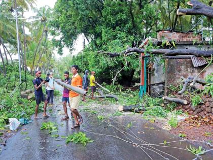 nisrga syclon-cyclone damages Rs 37 lakh, destroys 57 houses, 7 cowsheds and other properties | nisrga syclon- चक्रीवादळाने ३७ लाखांचे नुकसान, ५७ घरे, ७ गोठ्यांसह इतर मालमत्तांची पडझड