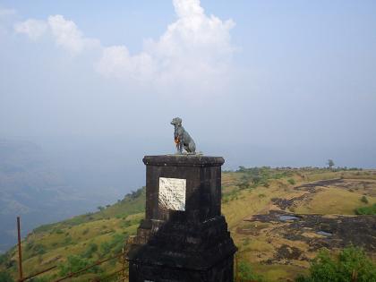 Pune and Raigad Police issue notice to Sambhaji Brigade over tiger and dog burial controversy | वाघ्या श्वानाच्या समाधी वादावरून संभाजी ब्रिगेडला पुणे व रायगड पोलिसांची नोटीस Pune and Raigad Police issue notice to Sambhaji Brigade over tiger and dog burial controversy | वाघ्या श्वानाच्या समाधी वादावरून संभाजी ब्रिगेडला पुणे व रायगड पोलिसांची नोटीस