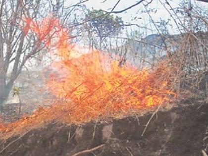 Two animals were killed in the wildfire in wai satara | वणव्याने घेतला दोन मुक्या जिवांचा बळी, वाईत वणव्याच्या घटना वाढल्या