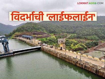 latest news Wainganga-Nalganga River Link Project: Vidarbha's 'Wainganga-Nalganga' project will be a miracle of hydraulic engineering in the country. Read in detail | Wainganga-Nalganga River Link Project : विदर्भाचा 'वैनगंगा-नळगंगा' प्रकल्प ठरणार देशातील जलअभियांत्रिकीचा चमत्कार वाचा सविस्तर latest news Wainganga-Nalganga River Link Project: Vidarbha's 'Wainganga-Nalganga' project will be a miracle of hydraulic engineering in the country. Read in detail | Wainganga-Nalganga River Link Project : विदर्भाचा 'वैनगंगा-नळगंगा' प्रकल्प ठरणार देशातील जलअभियांत्रिकीचा चमत्कार वाचा सविस्तर
