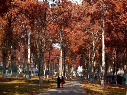 Did you ever experience Life while walking? | चालतानाचं जगणं अनुभवलंय कधी?