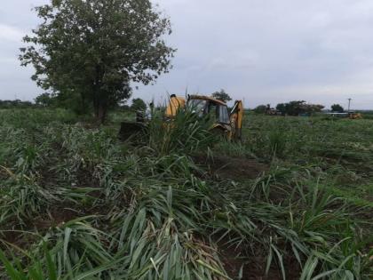 Major action of forest department in Indapur taluka; Removed encroachment on 130 acres | इंदापूर तालुक्यात वनविभागाची मोठी कारवाई ; १३० एकरावरील अतिक्रमण काढण्यास सुरूवात