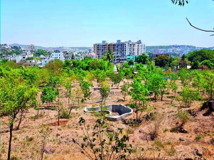 'Oxygen Mask' Urban Forest Park 'Role Model', Country's Attention to Warje Forest | ‘ऑक्सिजन मास्क’ असणारे नागरी वन उद्यान ‘रोल मॉडेल’, वारजेतील वनाकडे देशाचे लक्ष