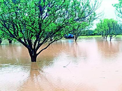 heavy rain in Wardha District; Seven reservoir is full, discharge of water has started | वर्धा जिल्ह्यात कोसळधार; सात जलाशये हाऊसफुल्ल, पाण्याचा विसर्ग सुरू