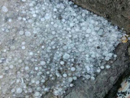 Hailstorms in the district of Washim, unseasonal rains and heavy rains | वाशिम जिल्ह्यात गारपीट, अवकाळी पाऊस, पिकांना जबर फटका