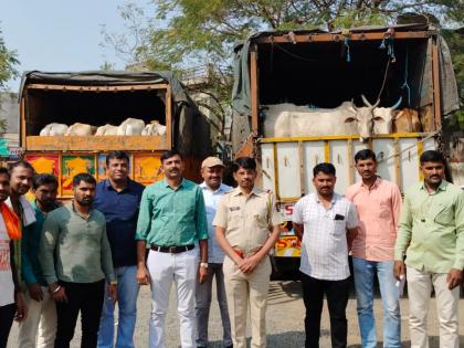 Rescue of 61 cows going for slaughter | कत्तलीसाठी जाणाऱ्या ६१ गोवंशांची सुटका