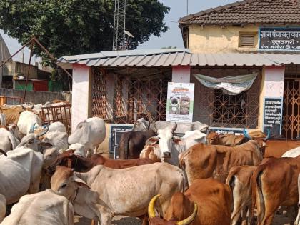 lack of drinking water due to hunger pastoralists along with their animals struck in the gram panchayat | उपशामुळे पिण्याचे पाणी मिळेना; जनावरांसह पशुपालक ग्रामपंचायतमध्ये धडकले