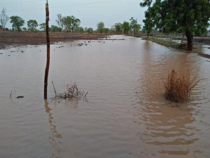 In the district of Washim raining | वाशिम जिल्ह्यात सर्वदूर बरसल्या मृगधारा !