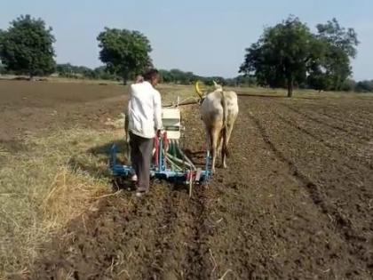  23% sowing of rabi crops in Washim district! | वाशिम जिल्ह्यात रब्बी पिकांची २३ टक्के पेरणी!