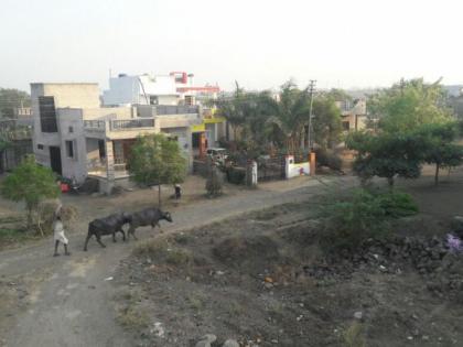 249 works pending in slum area of Washim district! | वाशिम जिल्ह्यातील दलित वस्तीतील २४९ कामे संथगतीने!