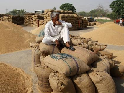 Farmers turn their backt to government procurement! | शासकीय खरेदीकडे शेतकऱ्यांनी फिरवली पाठ!