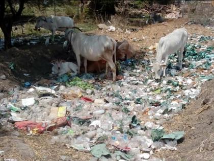 Fiasco of Plastic ban in Malegaon taluka! | मालेगाव तालुक्यात प्लास्टिक बंदीचा फज्जा !