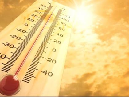 The intensity of heat for another week in Washim district | वाशिम जिल्ह्यात आणखी आठवडाभर उन्हाची तीव्रता