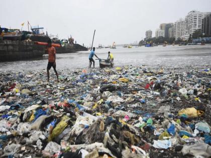 floating trash to curb trash boom the system will soon be implemented in 16 places in the eastern suburbs | ट्रॅश बूम रोखणार तरंगता कचरा; पूर्व उपनगरात १६ ठिकाणी लवकरच यंत्रणा कार्यान्वित करणार