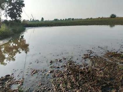 Nagpur: Mokhabardi Upsa Irrigation Scheme : Canal water in fields, loss of gram | Nagpur: मोखाबर्डी उपसा सिंचन योजना : कालव्याचे पाणी शेतात, हरभऱ्याचे नुकसान