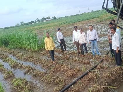 Kharif crops in 3,929 villages in Marathwada affected by mud, 1.6 million farmers affected | मराठवाड्यात ३ हजार ९२९ गावांतील खरीप पिकांचा चिखल, १६ लाख शेतकऱ्यांना फटका Kharif crops in 3,929 villages in Marathwada affected by mud, 1.6 million farmers affected | मराठवाड्यात ३ हजार ९२९ गावांतील खरीप पिकांचा चिखल, १६ लाख शेतकऱ्यांना फटका