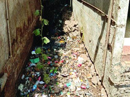 Water in the house of Gramadevat Dhapaya Maharaj Temple | ग्रामदैवत धापया महाराज मंदिराच्या गाभाऱ्यात पाणी