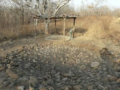 Dnyanaganga Wildlife Sanctuary; Wildlife wandering for water | ज्ञानगंगा अभयारण्यातील पाणवठे कोरडे; वन्यप्राण्यांची पाण्यासाठी भटकंती