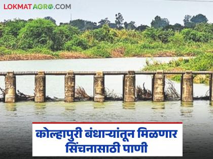 latest news Water Storage : A great achievement of water storage in Amravati! Abundant irrigation for farmers for the Rabi season | Water Storage : अमरावतीत जलसाठ्याची मोठी कामगिरी! रब्बी हंगामासाठी शेतकऱ्यांना मुबलक सिंचन latest news Water Storage : A great achievement of water storage in Amravati! Abundant irrigation for farmers for the Rabi season | Water Storage : अमरावतीत जलसाठ्याची मोठी कामगिरी! रब्बी हंगामासाठी शेतकऱ्यांना मुबलक सिंचन