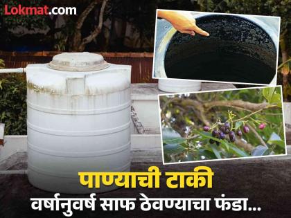 How will jamun wood helps to clean water tank, eliminate bad odors | जांभळाच्या लाकडाचा तुकडा टाकल्याने खराब होणार नाही पाण्याची टाकी, जाणून घ्या कारण...