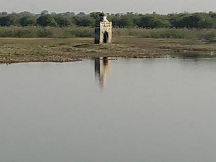 The water level in Vidharbha is serious | विदर्भात जलाशयांतील पाण्याची स्थिती गंभीर, वन्यप्राणी, पक्षांसमोरही जलसंकट