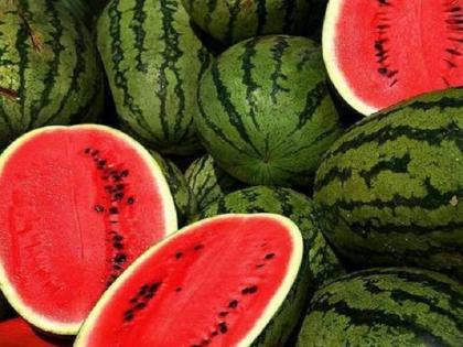 Watermelon producers 15 farmers cheated in 35 lakhs! | टरबूज उत्पादक १५ शेतकऱ्यांची ३५ लाखांत फसवणूक!