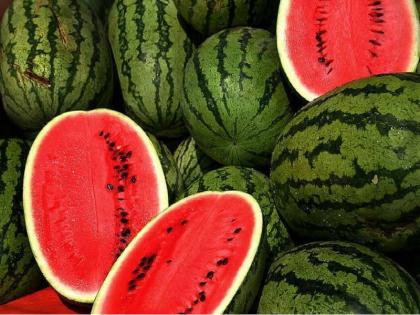 prices of Kalingad and Melon have increased with increasing speed | Pune | वाढत्या चटक्याबराेबरच वाढले कलिंगड, खरबुजाचे दर