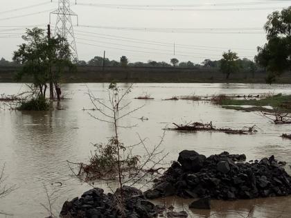 Rainfall in Washim district! | वाशिम जिल्ह्यात सर्वदूर पाऊस !