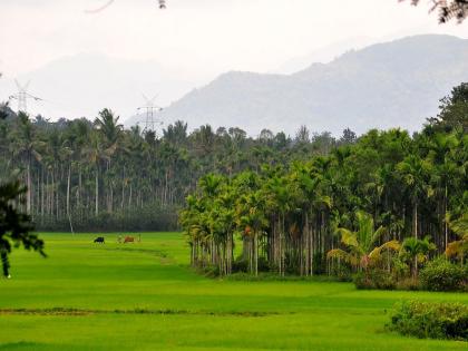 Wayanad is must visit in Summer | उन्हाळ्यात रोमांचक आणि गारेगार अनुभवासाठी आवर्जून भेट द्या वायनाडला!