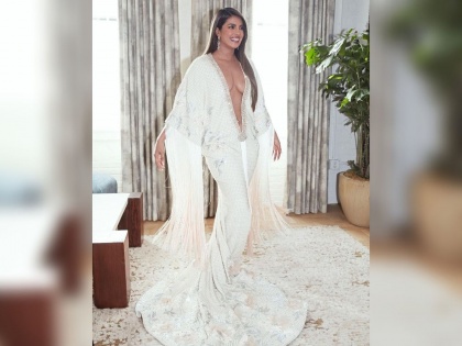 Priyanka Chopra's dress up at the Grammy Awards | ग्रॅमी अवॉर्ड्समध्ये प्रियंका चोप्राचा ड्रेस पाहून भडकले नेटकरी, सोशल मीडियावर केलं ट्रोल