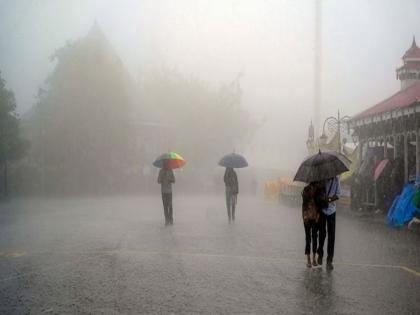 Weather Forecast mumbai maharashtra Yellow Alert to 9 districts of the state | Weather Alert: मुंबईत आजही पाऊस लावणार हजेरी; राज्यातील ९ जिल्ह्यांना 'यलो अलर्ट'; असा आहे हवामान अंदाज!