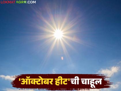 latest news Maharashtra Weather Update: Monsoon on the way back; Read the details of the 'October heat' in the state | Maharashtra Weather Update : मान्सून परतीच्या वाटेवर; राज्यात 'ऑक्टोबर हीट'चा चटका वाचा सविस्तर latest news Maharashtra Weather Update: Monsoon on the way back; Read the details of the 'October heat' in the state | Maharashtra Weather Update : मान्सून परतीच्या वाटेवर; राज्यात 'ऑक्टोबर हीट'चा चटका वाचा सविस्तर