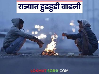 latest news Cold Weather: The state has experienced increased fog and cold weather. | Cold Weather : राज्यात हुडहुडी वाढली; धुक्याची चादर अन् गारठ्याचा जोर वाढला latest news Cold Weather: The state has experienced increased fog and cold weather. | Cold Weather : राज्यात हुडहुडी वाढली; धुक्याची चादर अन् गारठ्याचा जोर वाढला