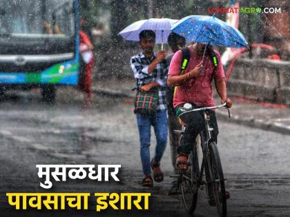 latest news Maharashtra Weather Update: Heavy rain continues; Read the alert given by IMD in detail | Maharashtra Weather Update : पावसाचा जोर कायम; IMD ने काय दिला अलर्ट वाचा सविस्तर latest news Maharashtra Weather Update: Heavy rain continues; Read the alert given by IMD in detail | Maharashtra Weather Update : पावसाचा जोर कायम; IMD ने काय दिला अलर्ट वाचा सविस्तर