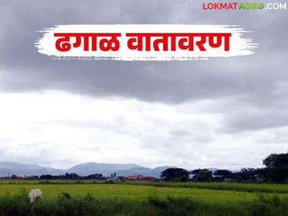 latest news Maharashtra Weather Update: Cloudy weather continues; Temperatures are rising, rain is expected Read in detail | Maharashtra Weather Update : ढगाळ हवामान कायम; तापमान वाढतंय, पाऊस धडकण्याच्या तयारीत वाचा सविस्तर latest news Maharashtra Weather Update: Cloudy weather continues; Temperatures are rising, rain is expected Read in detail | Maharashtra Weather Update : ढगाळ हवामान कायम; तापमान वाढतंय, पाऊस धडकण्याच्या तयारीत वाचा सविस्तर