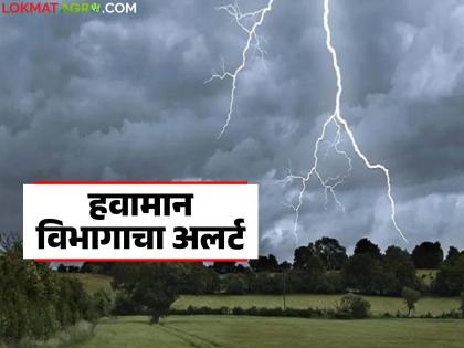 latest news Maharashtra Weather Update: Dangerous for the next 24 hours; Direct rain warning for 'these' 5 districts, read in detail | Maharashtra Weather Update : पुढील २४ तास धोक्याचे; 'या' ५ जिल्ह्यांना पावसाचा थेट इशारा वाचा सविस्तर latest news Maharashtra Weather Update: Dangerous for the next 24 hours; Direct rain warning for 'these' 5 districts, read in detail | Maharashtra Weather Update : पुढील २४ तास धोक्याचे; 'या' ५ जिल्ह्यांना पावसाचा थेट इशारा वाचा सविस्तर