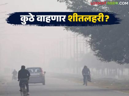 latest news Cold Wave in Maharashtra: Heat during the day, cold at night; Where will the cold wave blow in the state? Read in detail | Cold Wave in Maharashtra : दिवसा ऊन, रात्री गारठा; राज्यात कुठे वाहणार शीतलहरी? वाचा सविस्तर latest news Cold Wave in Maharashtra: Heat during the day, cold at night; Where will the cold wave blow in the state? Read in detail | Cold Wave in Maharashtra : दिवसा ऊन, रात्री गारठा; राज्यात कुठे वाहणार शीतलहरी? वाचा सविस्तर